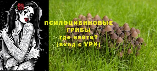 твердый Алзамай