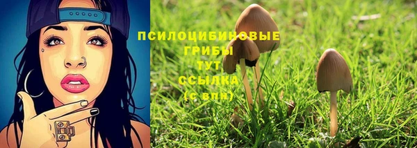 твердый Алзамай