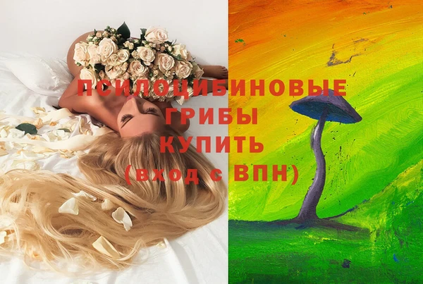 первитин Абаза